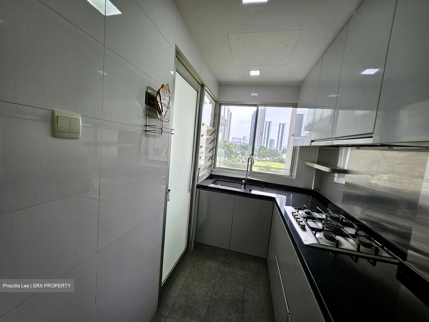 The Parc Condominium (D5), Condominium #497047431